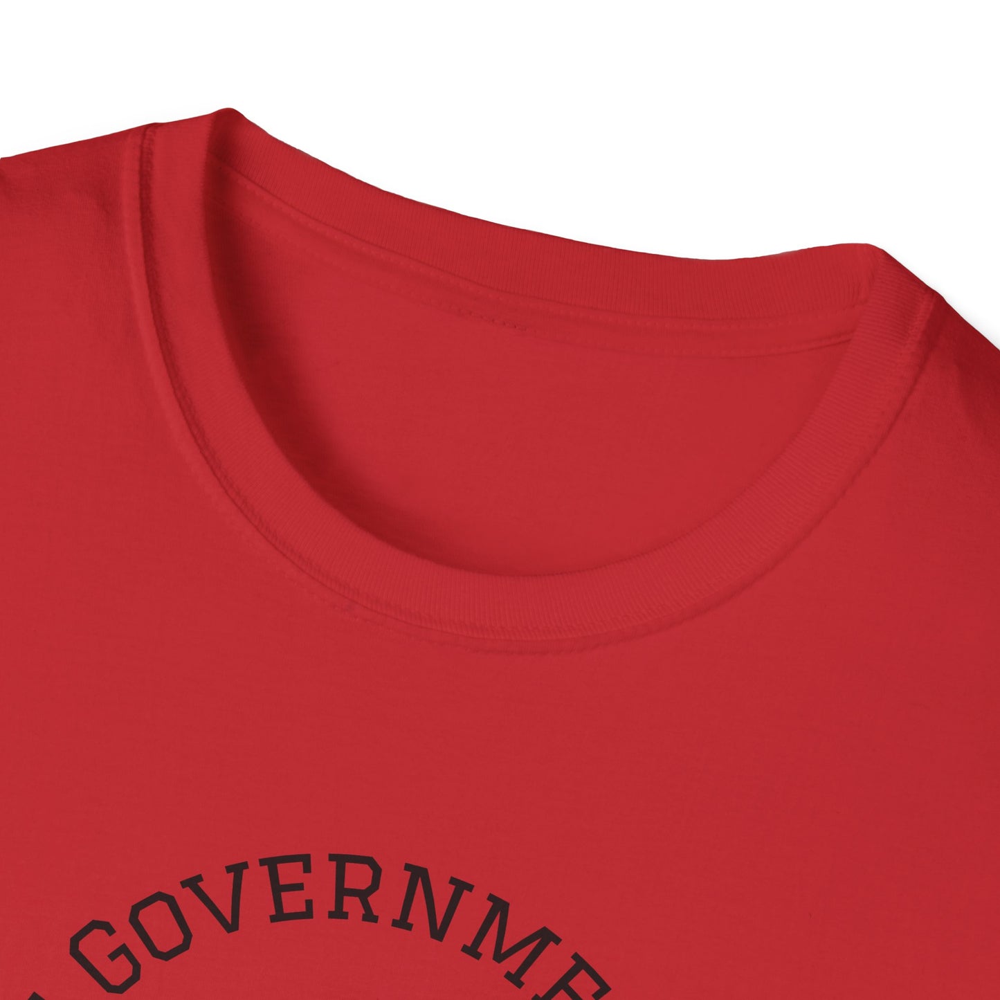 Unisex Softstyle T-Shirt - Government Corruption Protest Tee