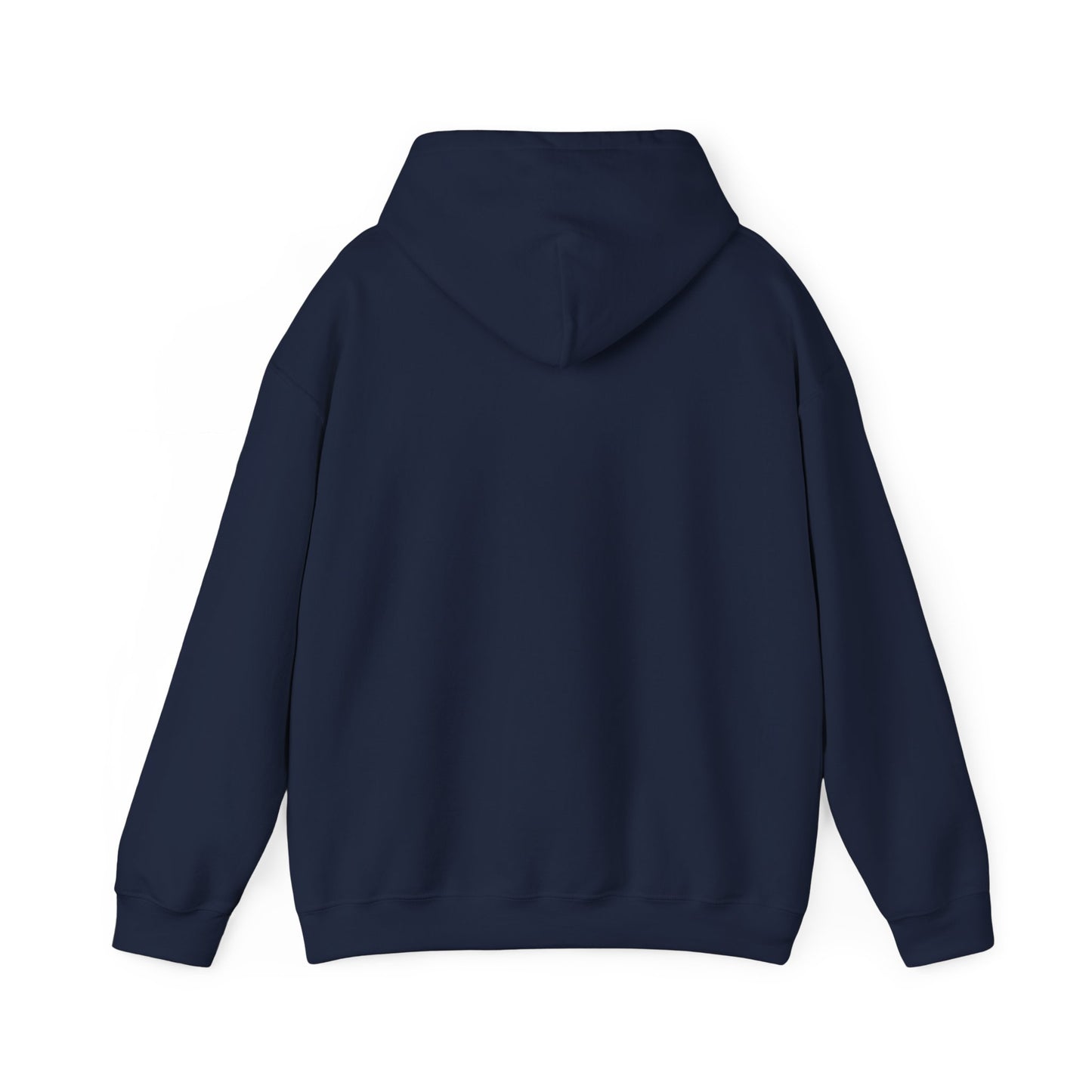 Lighthearted Government Corruption Hoodie, Unisex Sweatshirt,  Gift for Activists, Statement Piece