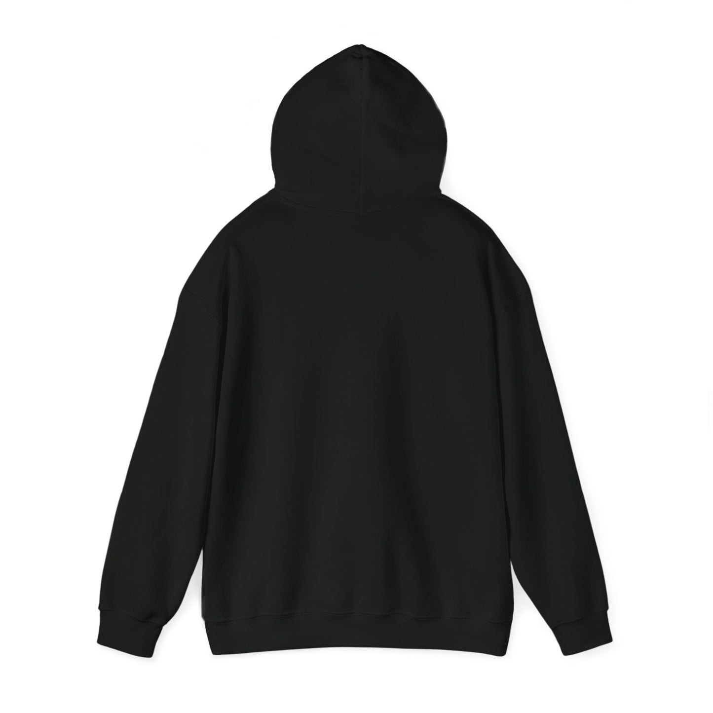 Lighthearted Government Corruption Hoodie, Unisex Sweatshirt,  Gift for Activists, Statement Piece