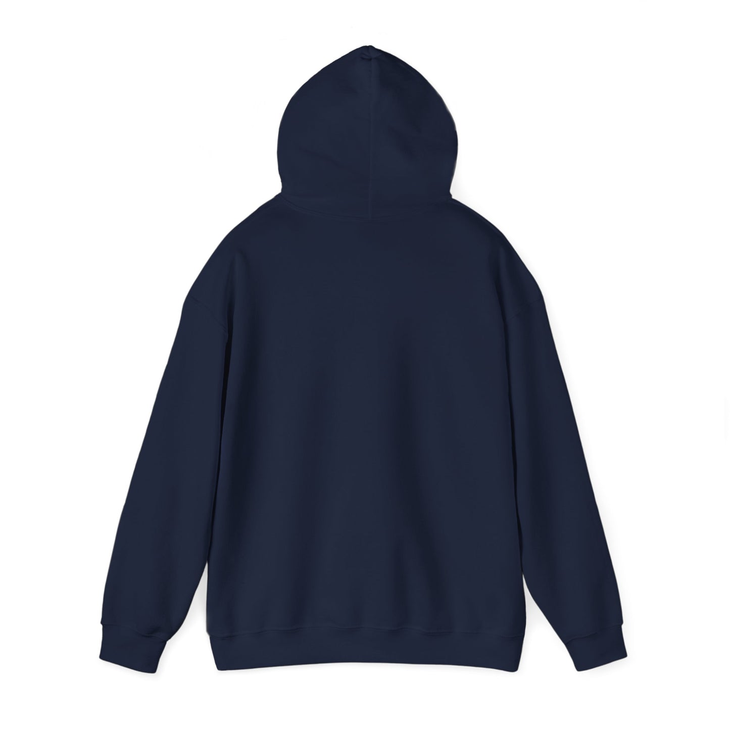 Lighthearted Government Corruption Hoodie, Unisex Sweatshirt,  Gift for Activists, Statement Piece