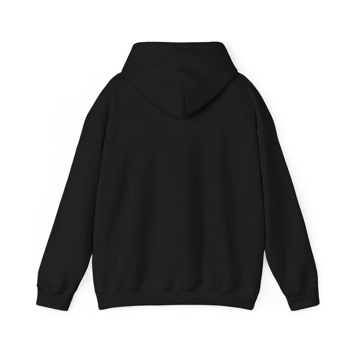 Lighthearted Government Corruption Hoodie, Unisex Sweatshirt,  Gift for Activists, Statement Piece