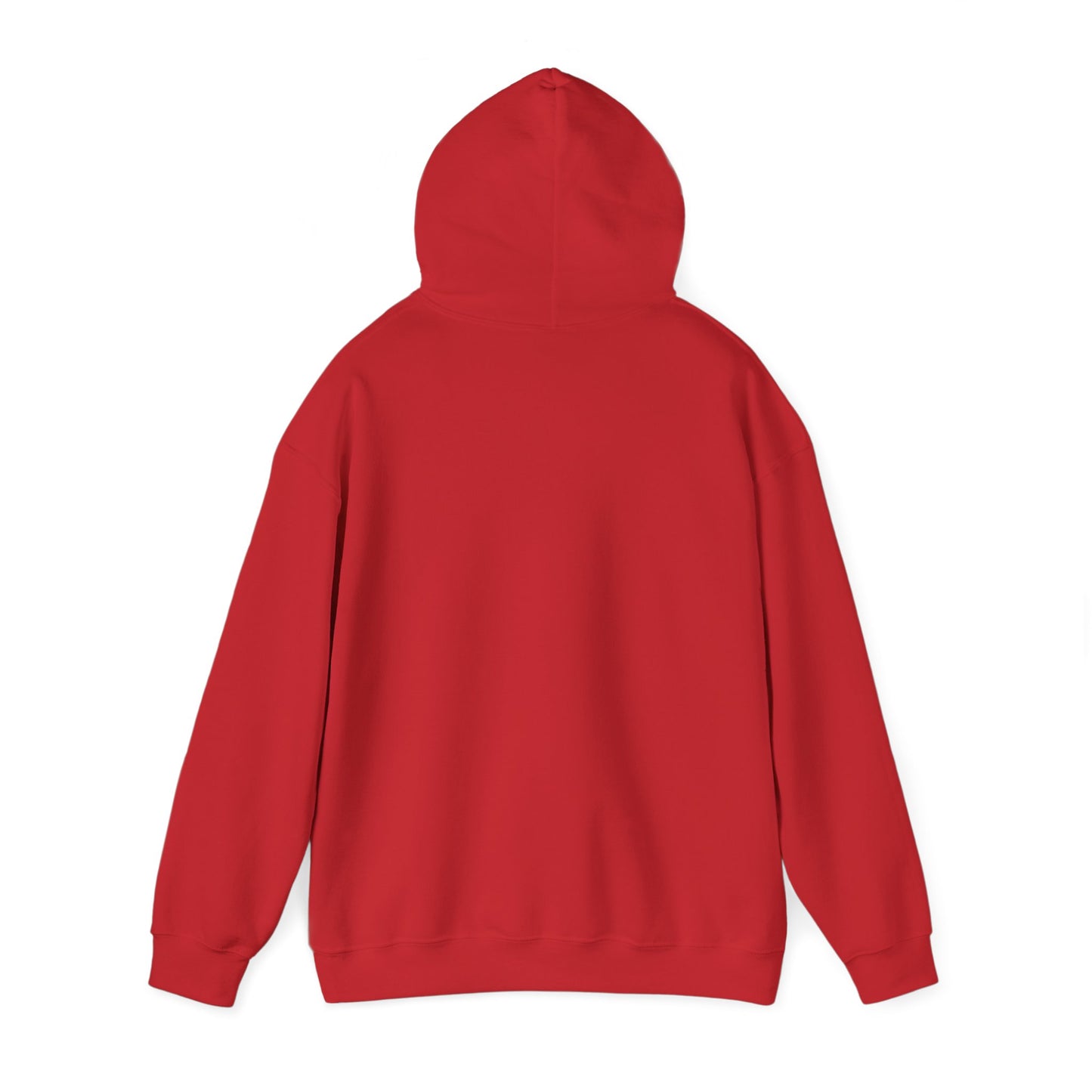 Lighthearted Government Corruption Hoodie, Unisex Sweatshirt,  Gift for Activists, Statement Piece