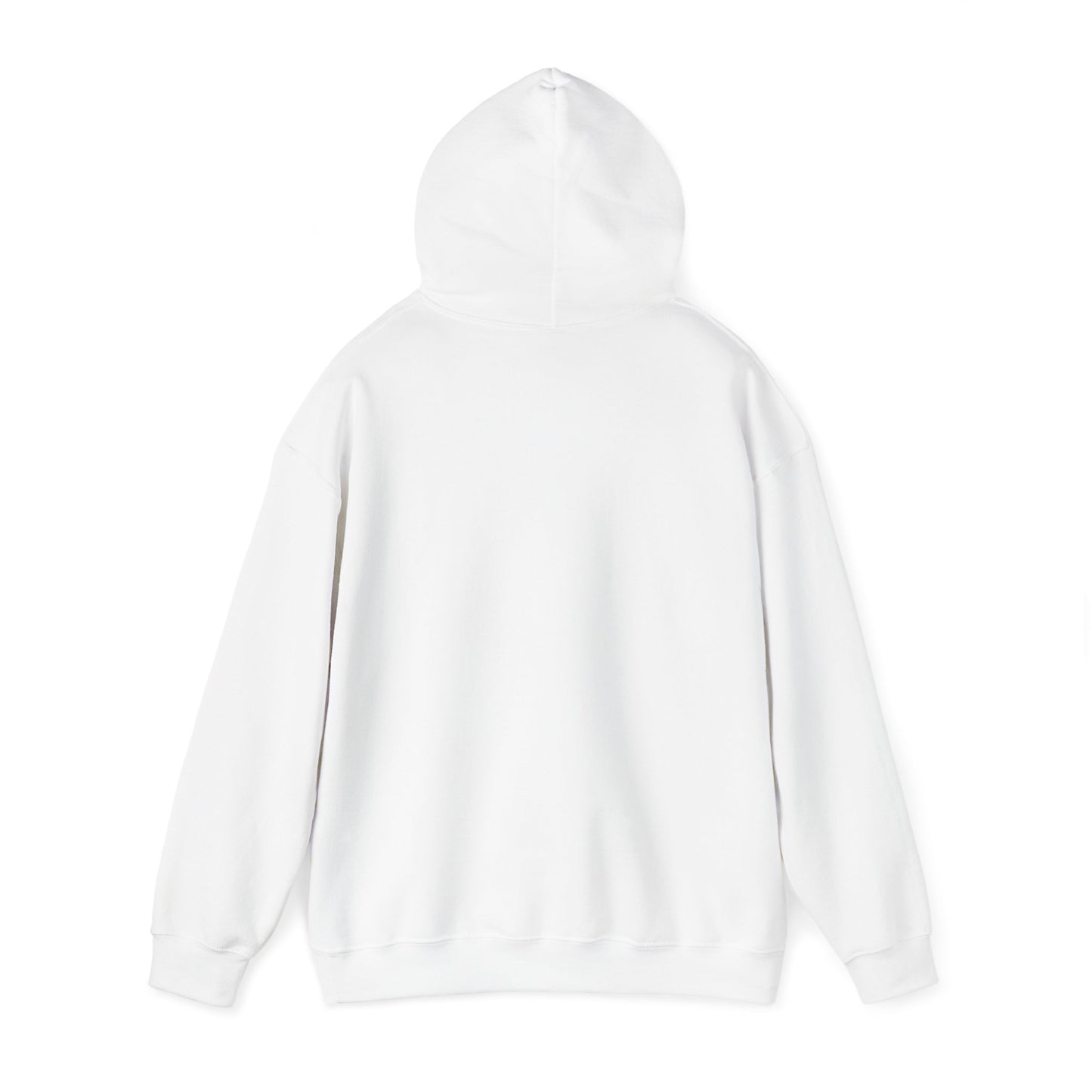 Lighthearted Government Corruption Hoodie, Unisex Sweatshirt,  Gift for Activists, Statement Piece