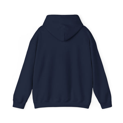 Lighthearted Government Corruption Hoodie, Unisex Sweatshirt,  Gift for Activists, Statement Piece
