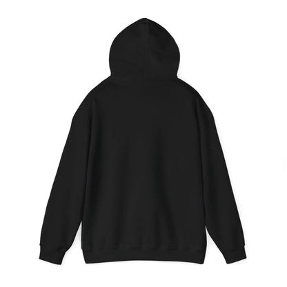 Lighthearted Government Corruption Hoodie, Unisex Sweatshirt,  Gift for Activists, Statement Piece