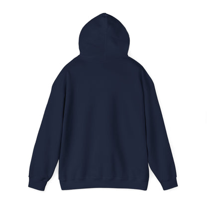 Lighthearted Government Corruption Hoodie, Unisex Sweatshirt,  Gift for Activists, Statement Piece