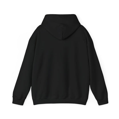 Lighthearted Government Corruption Hoodie, Unisex Sweatshirt,  Gift for Activists, Statement Piece