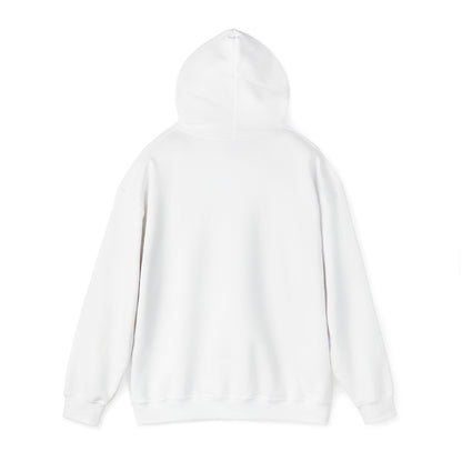 Lighthearted Government Corruption Hoodie, Unisex Sweatshirt,  Gift for Activists, Statement Piece